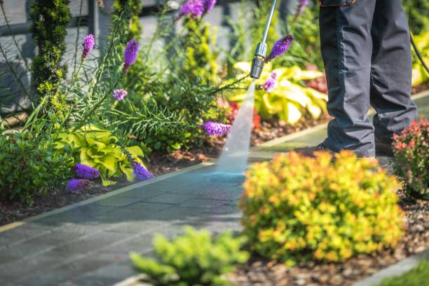 Best Soft Washing for Delicate Surfaces in Fox River Grove, IL