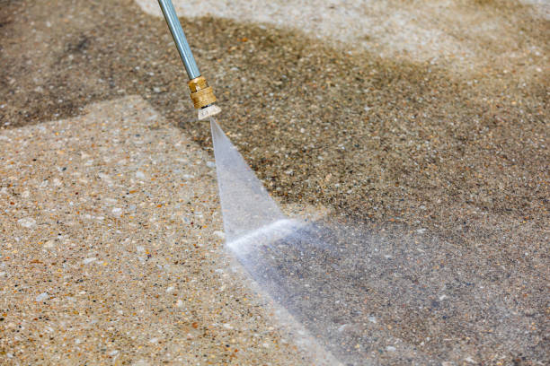 Best Vinyl Siding Pressure Washing in Fox River Grove, IL